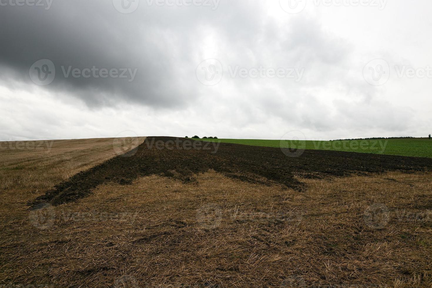 plowed earth  . fall photo