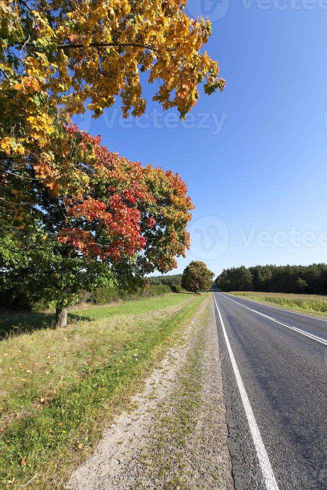 small country road photo