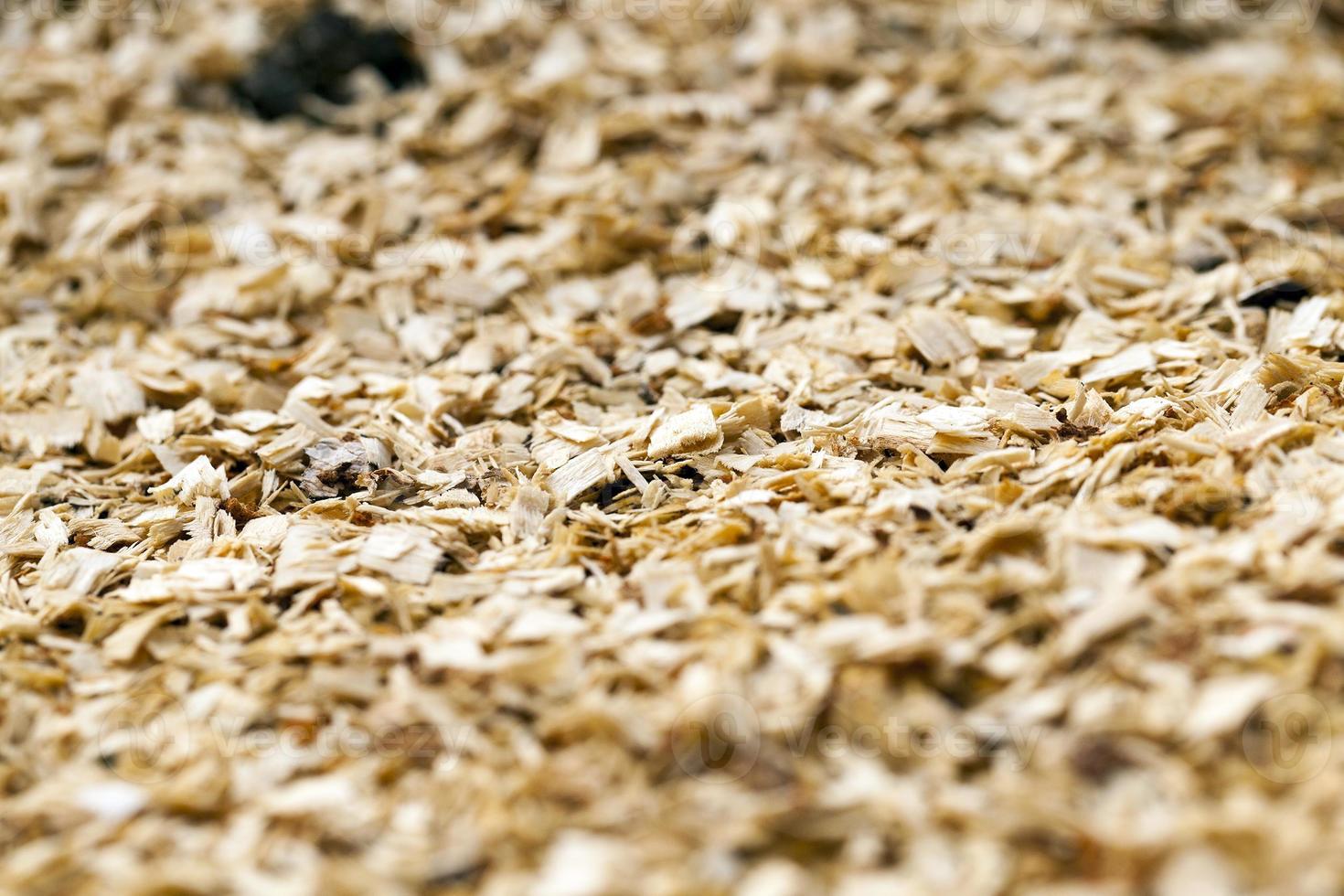 sawdust close up photo