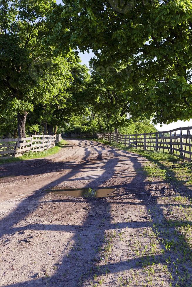the road on a farm photo