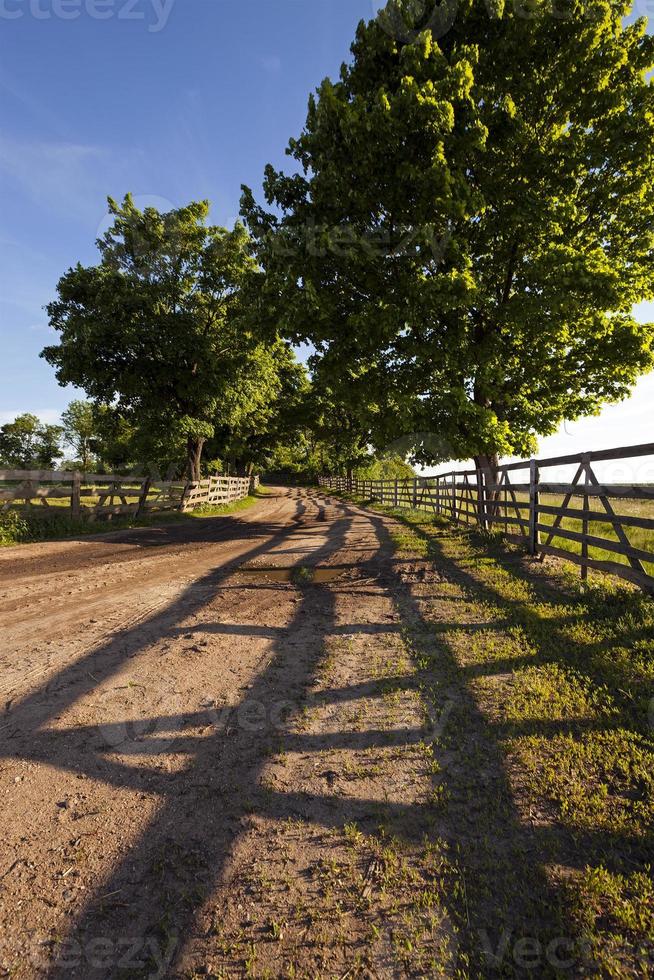 the road on a farm photo