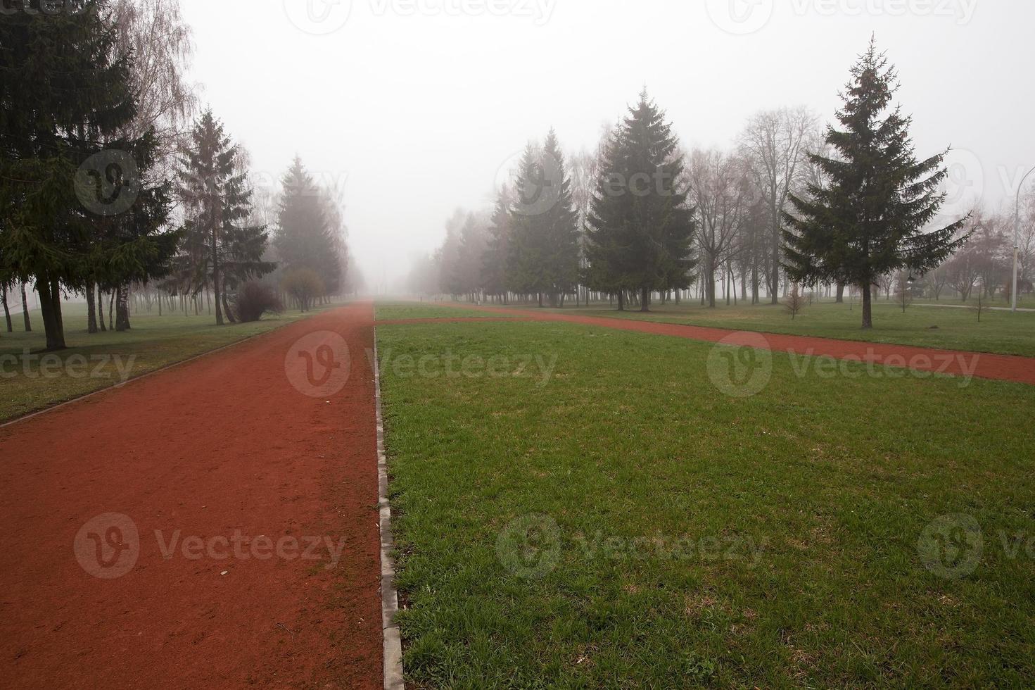 Park in autumn photo