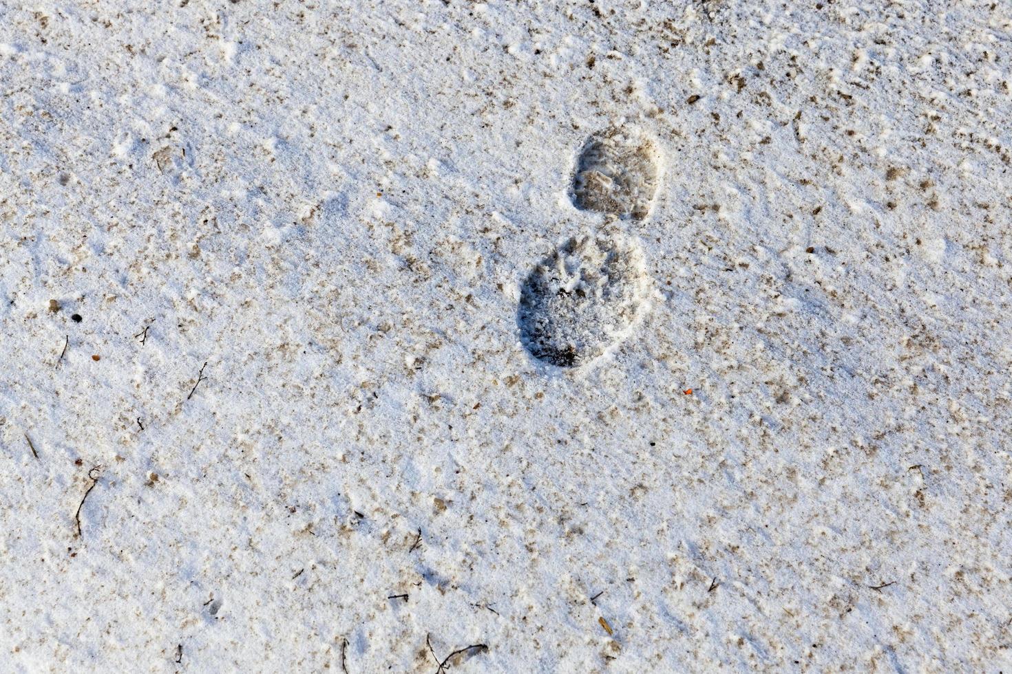 footprint snow, close up photo