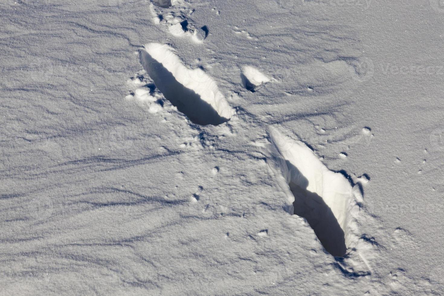 Snow drifts in winter photo