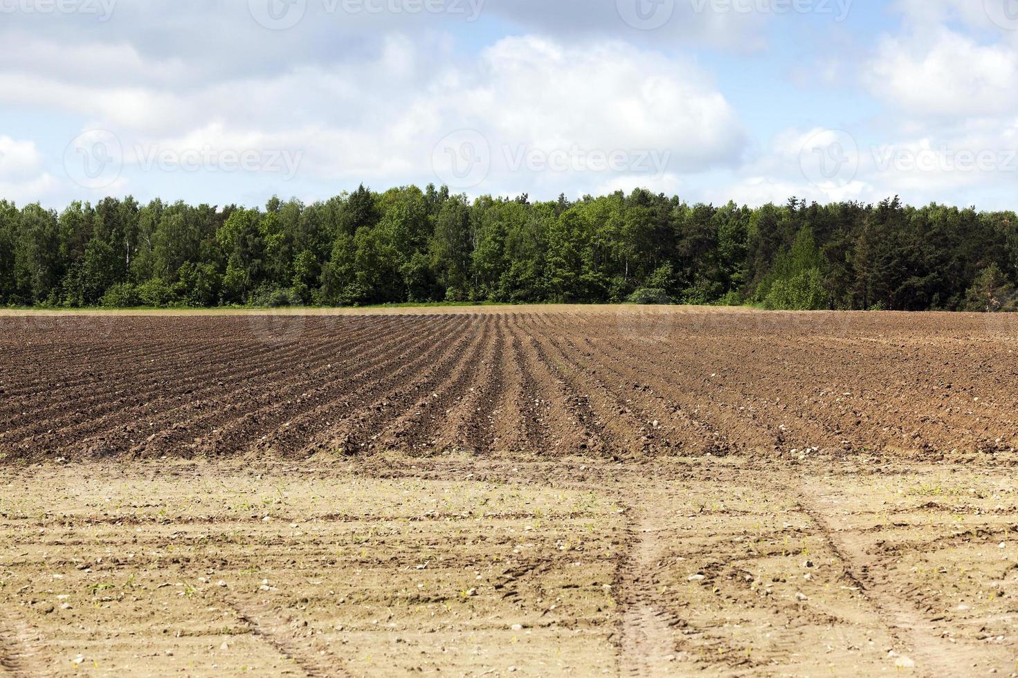 tierra arada, surcos foto