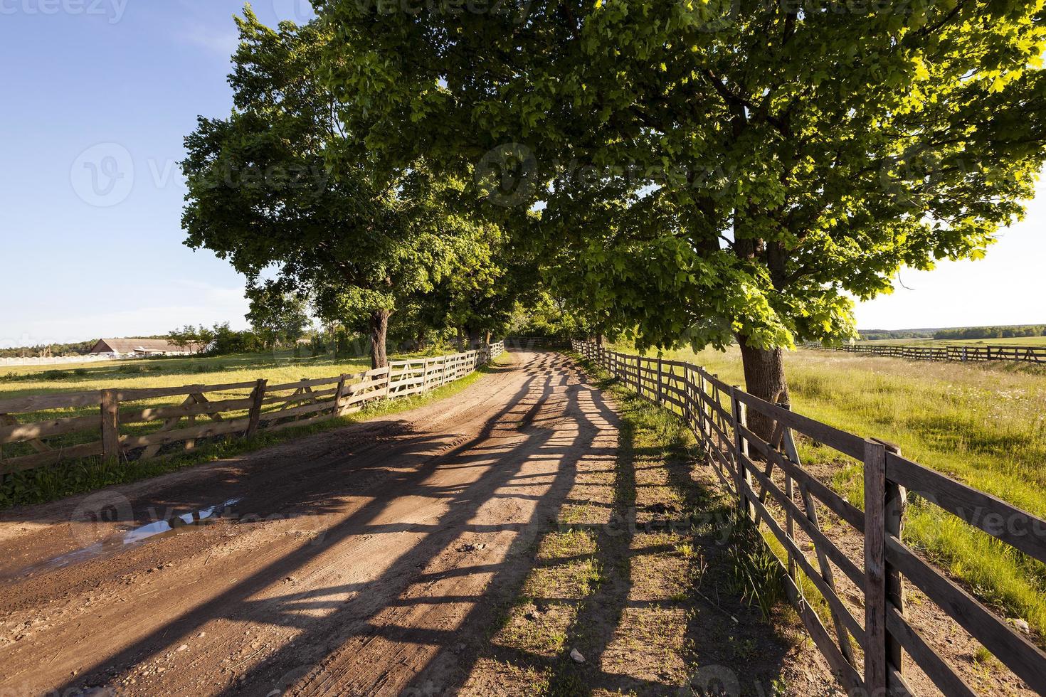 rural areas close up photo