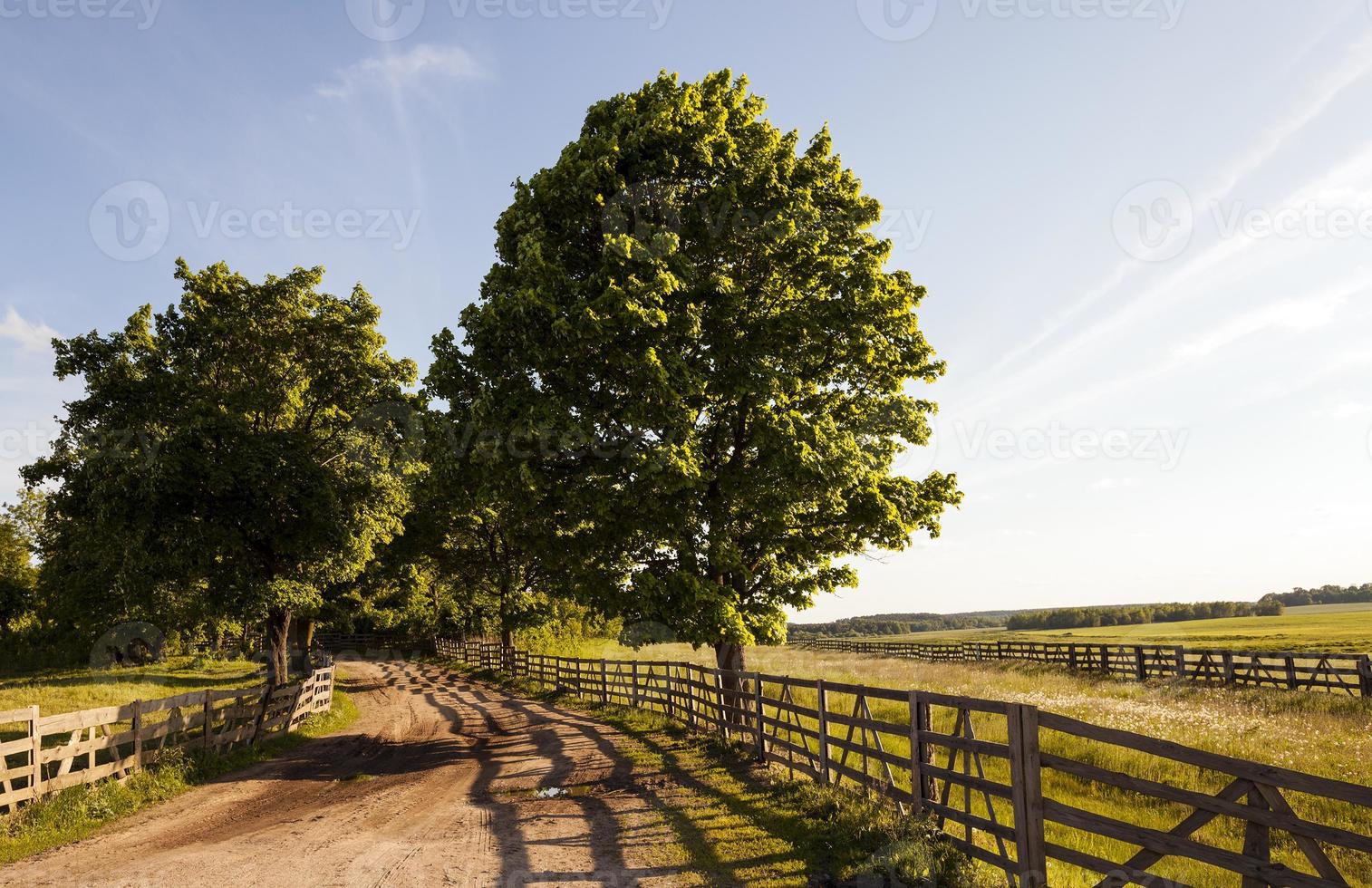 the road on a farm photo