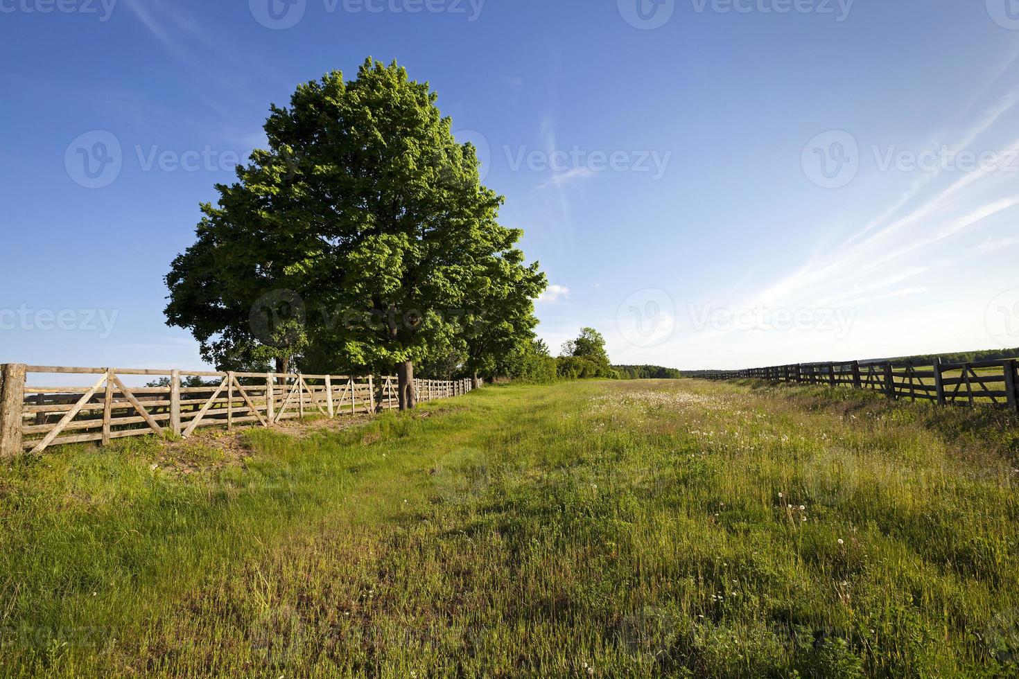 the road on a farm photo