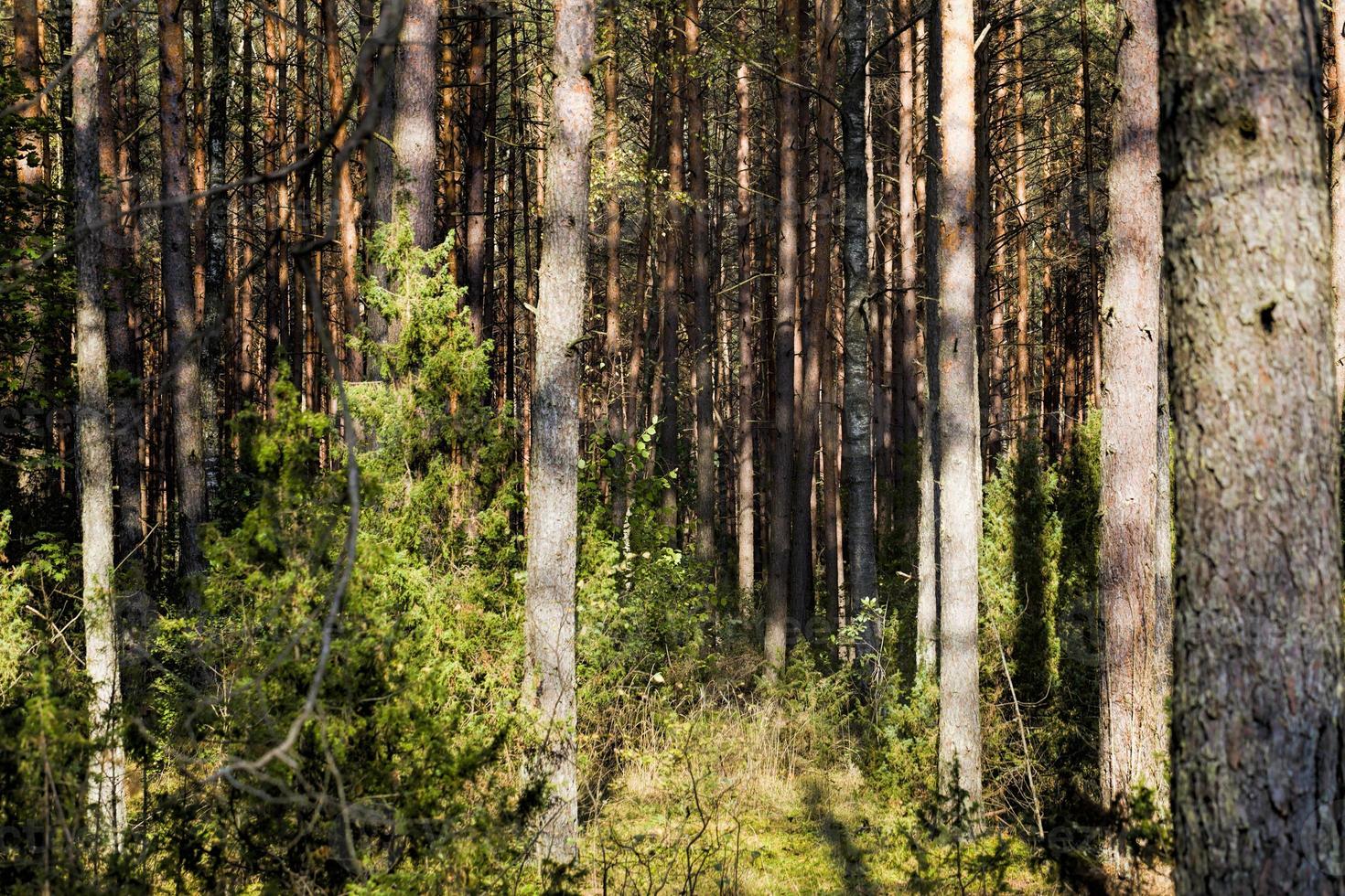 temporada de otoño de septiembre. foto