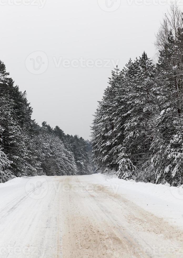 camino bajo la nieve foto