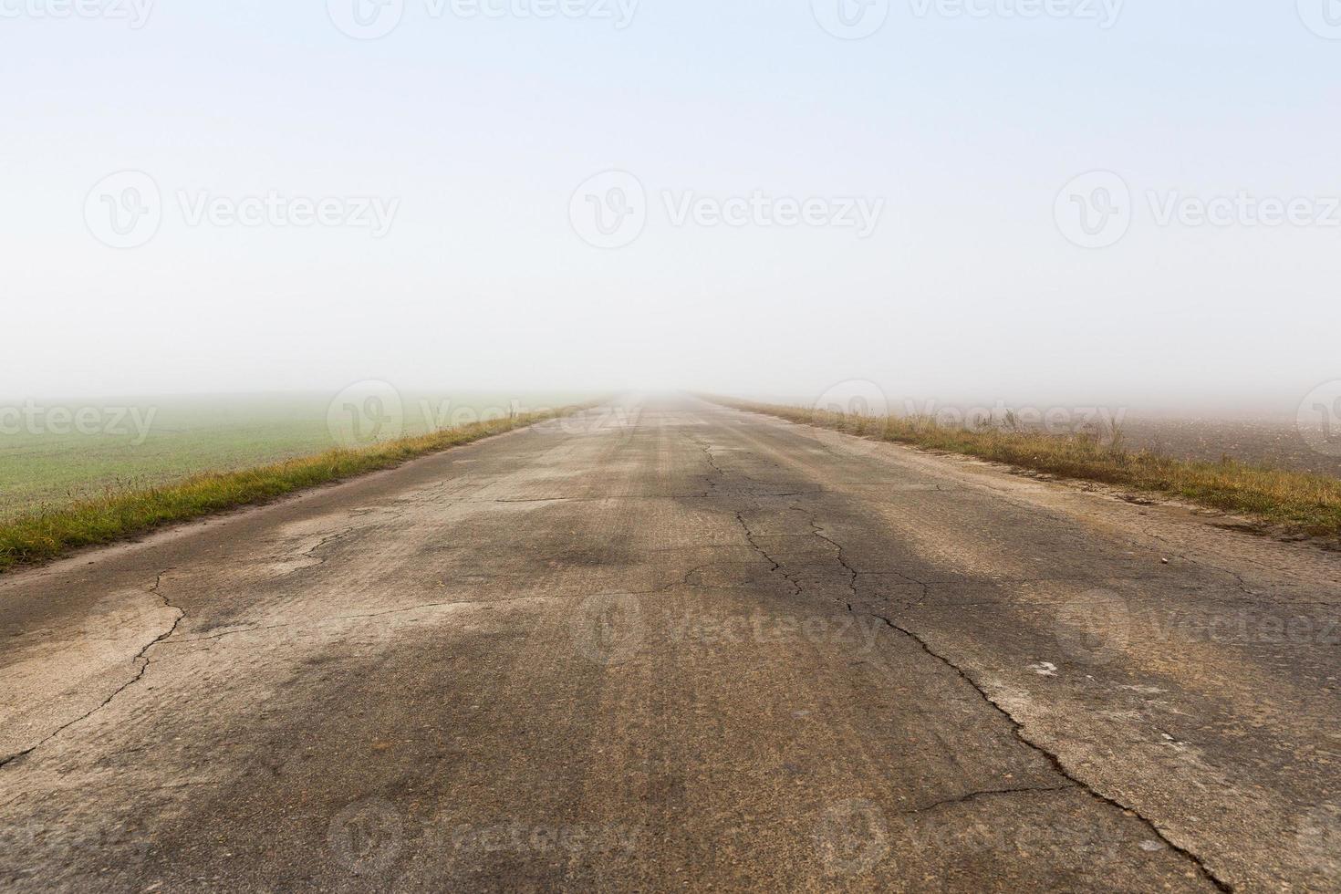 autumn fog and road photo