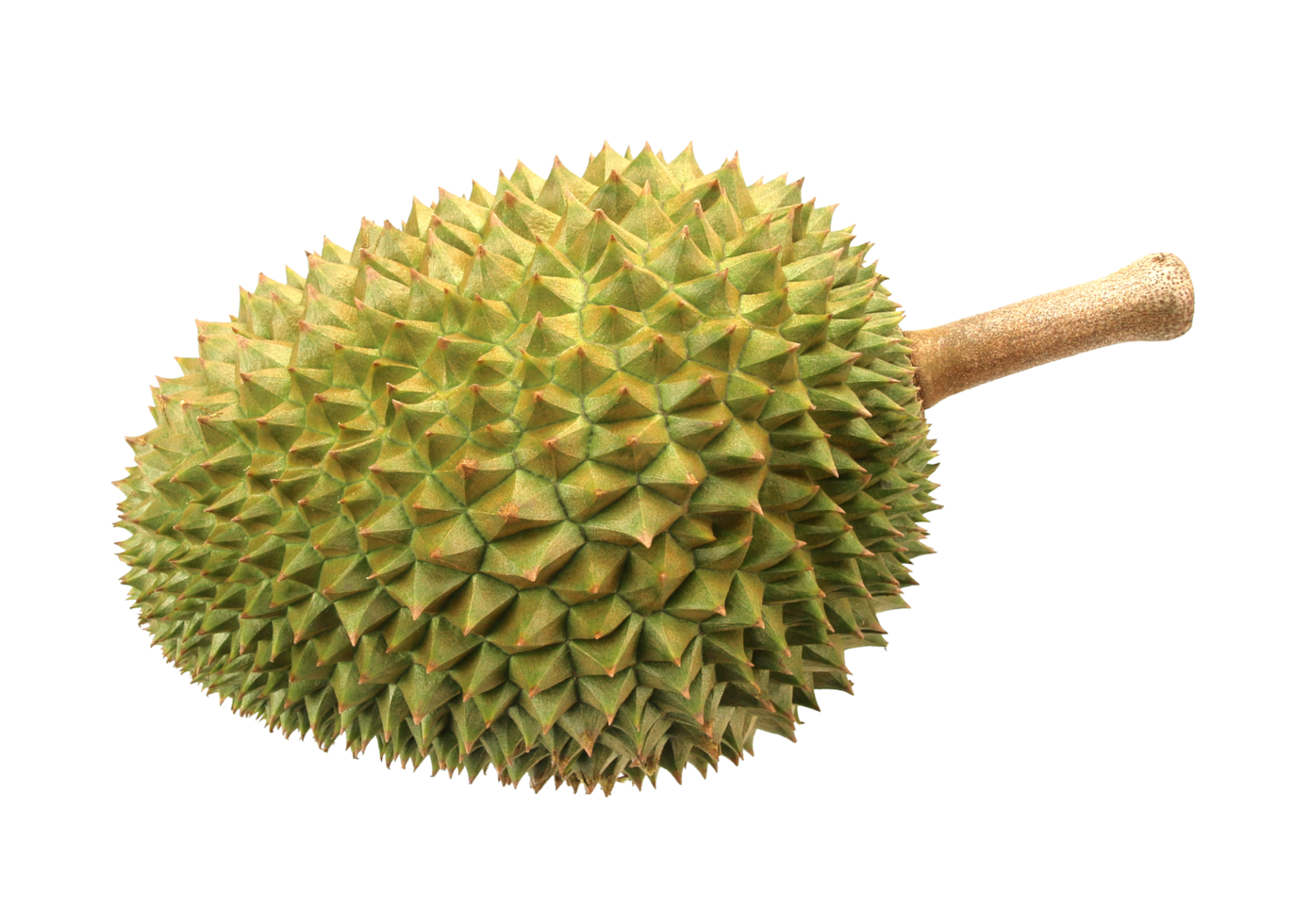 durian op transparante achtergrond png-bestand png