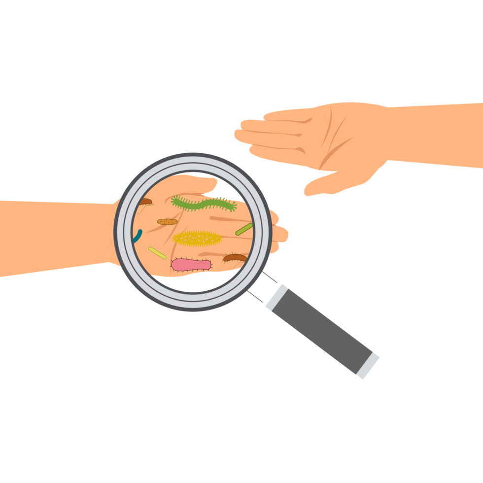Virus and germs on hand concept. Checking hands with a magnifying glass and searching for covid-19. Coronavirus found on hands with a magnifying glass. Magnifier and bacterial cells on a human palm. png