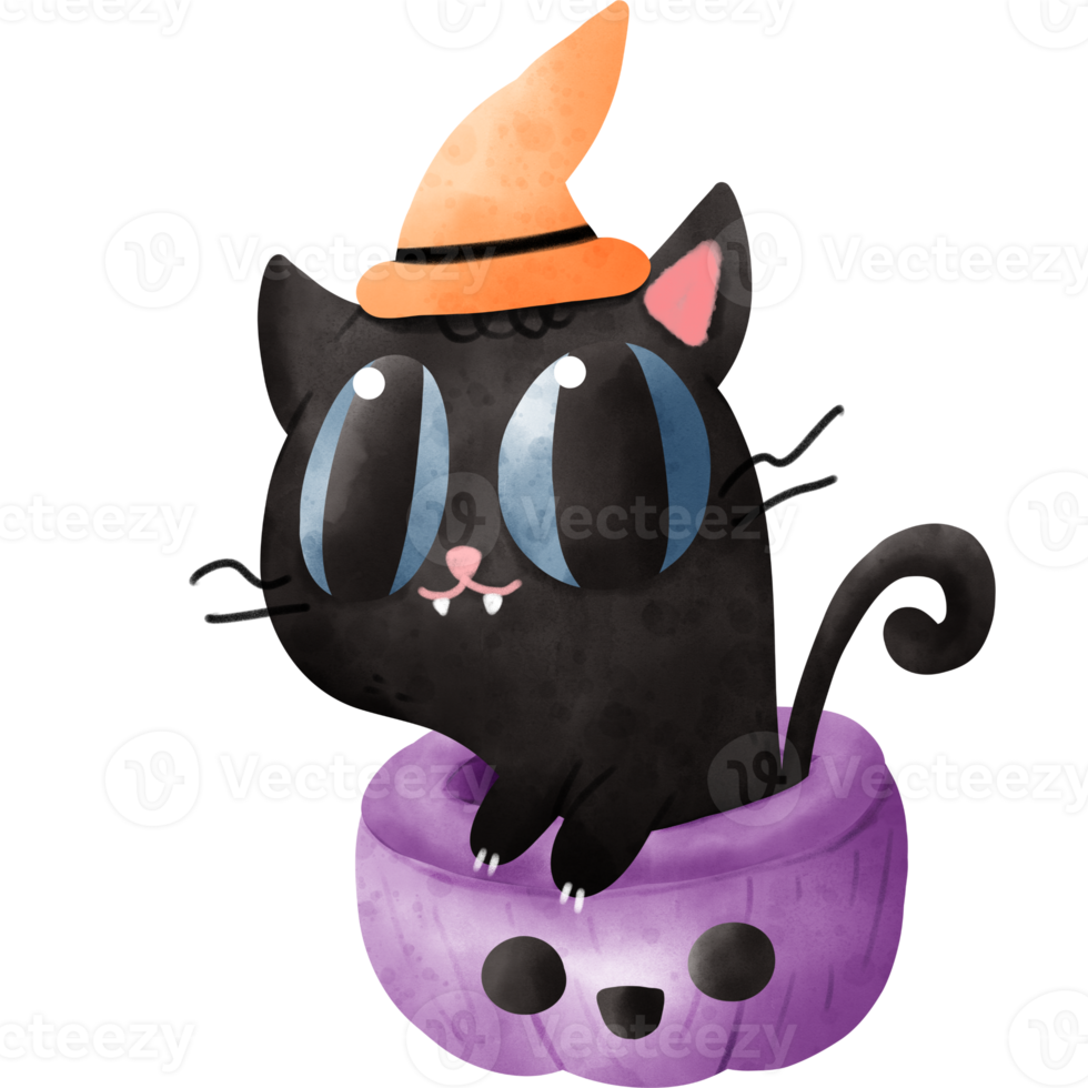 gatto dell'acquerello in zucca png