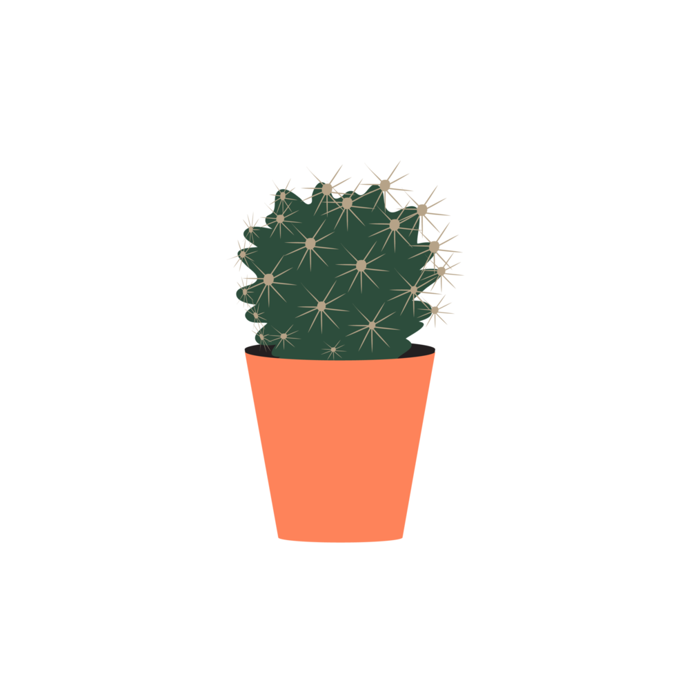 cactus en maceta png