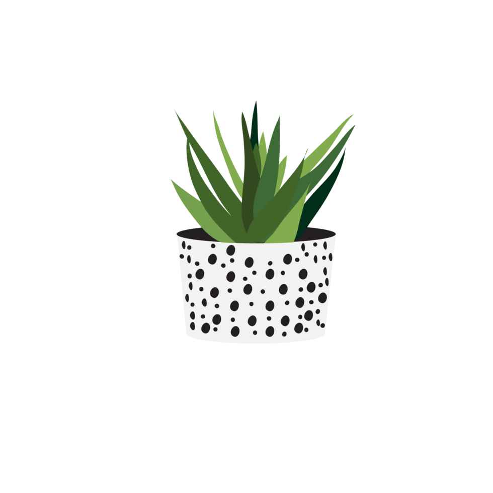 cactus in white pot png