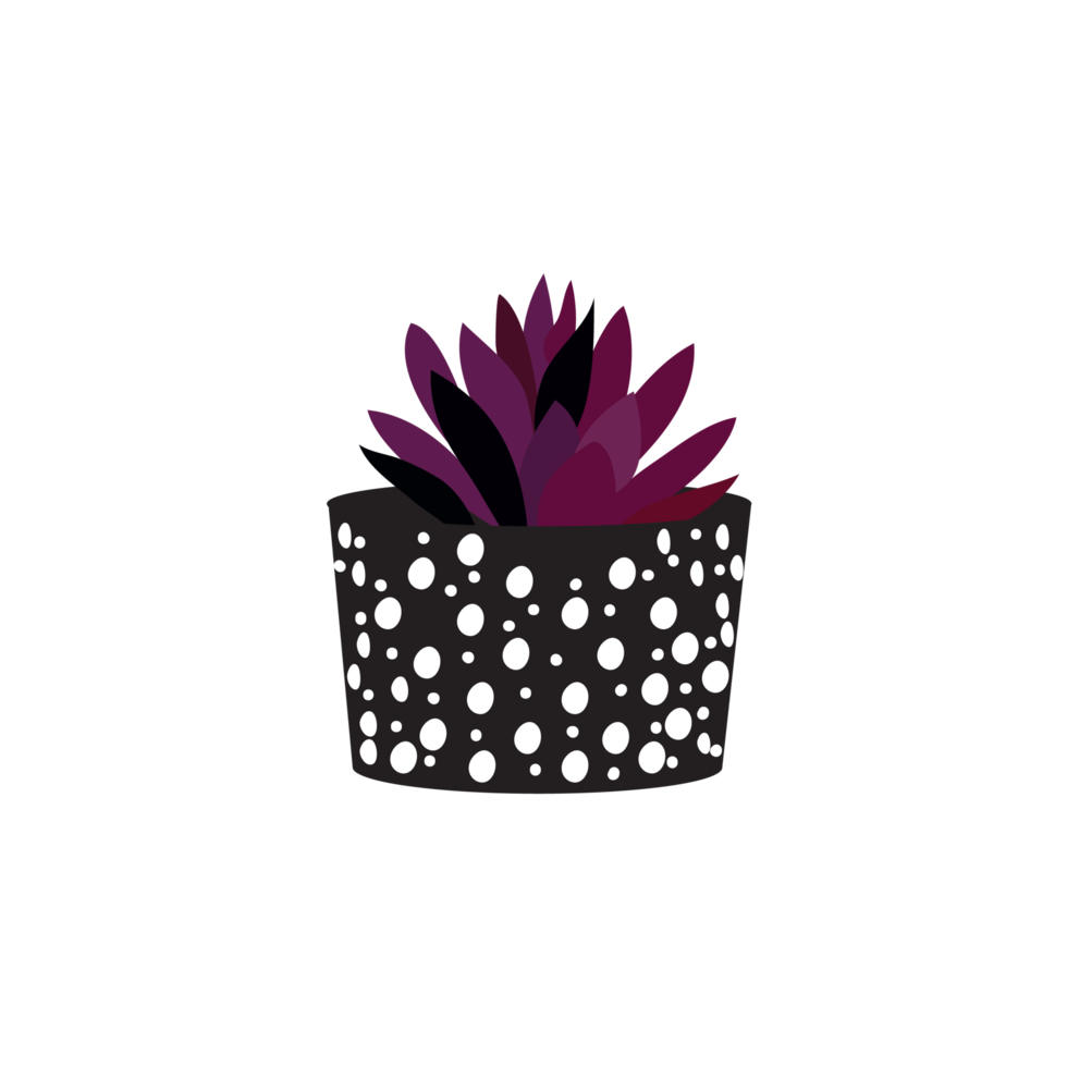 cactus in black pot png