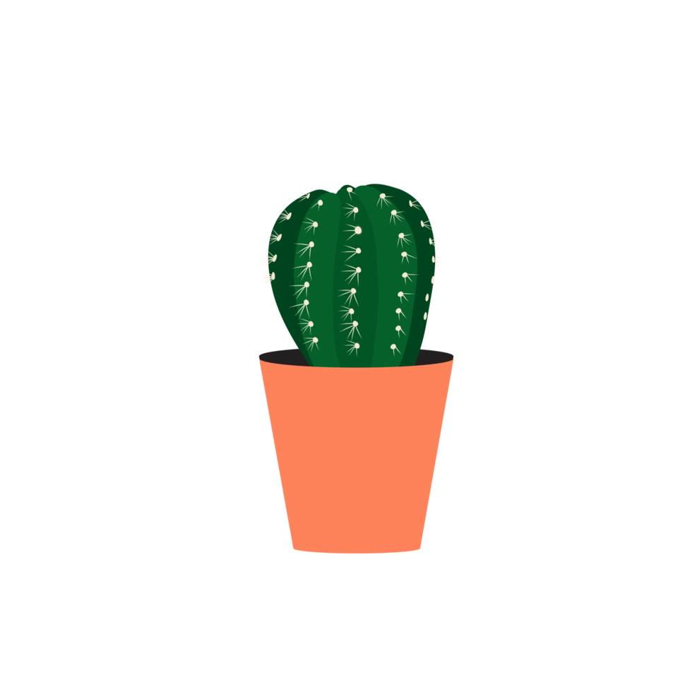 cactus en maceta png