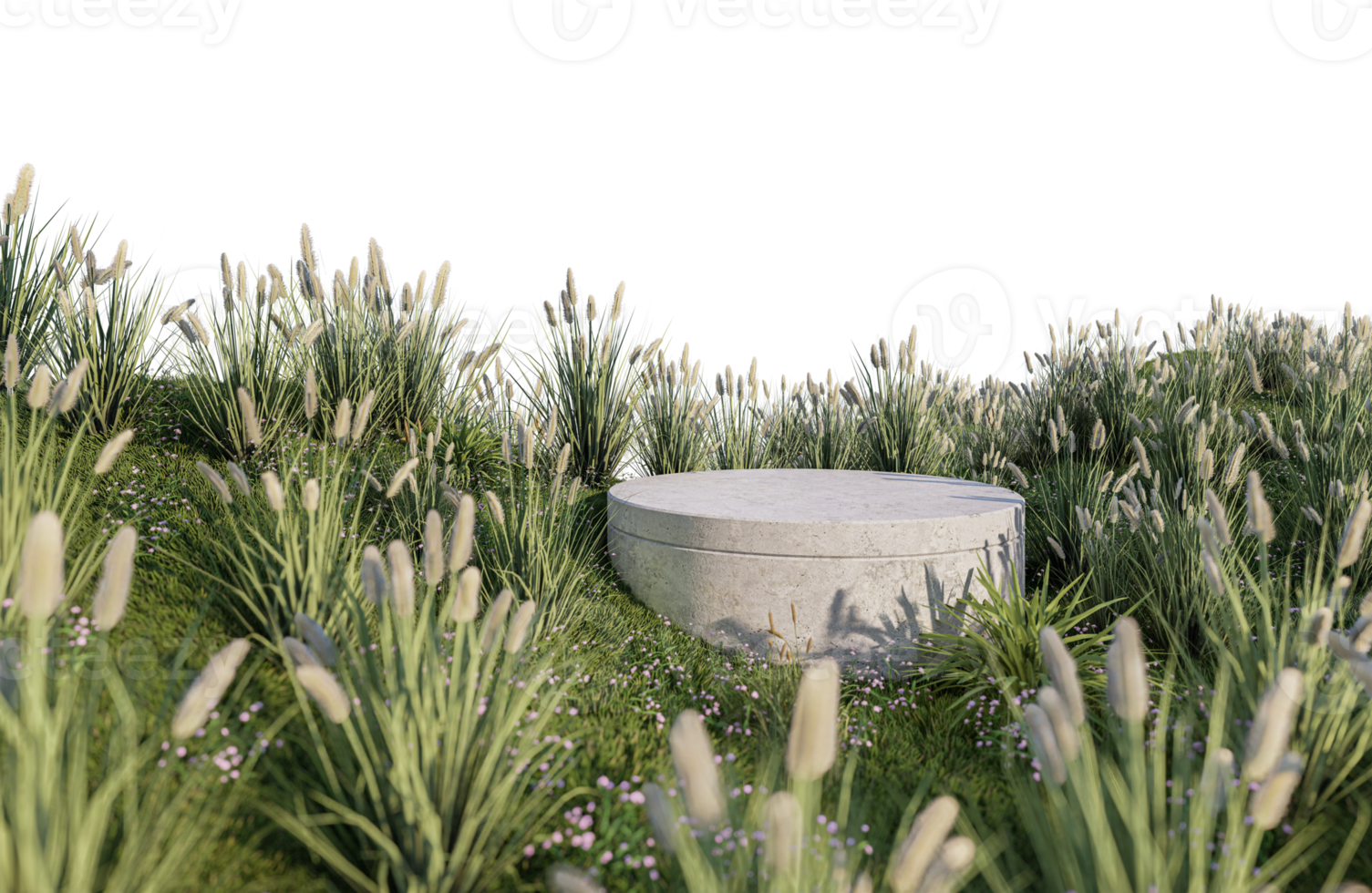 A 3d rendering image of product display on grass field png
