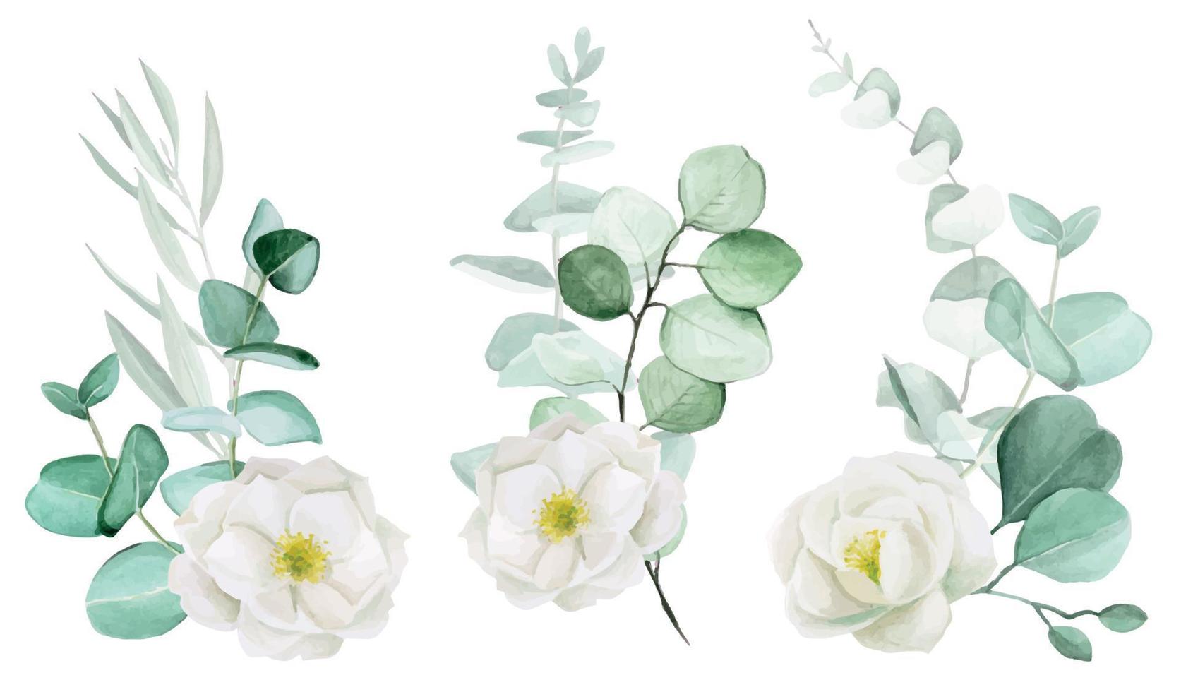watercolor drawing, a set of bouquets of white rosehip flowers and eucalyptus leaves. clip art design for wedding, flowers and eucalyptus leaves vintage style vector