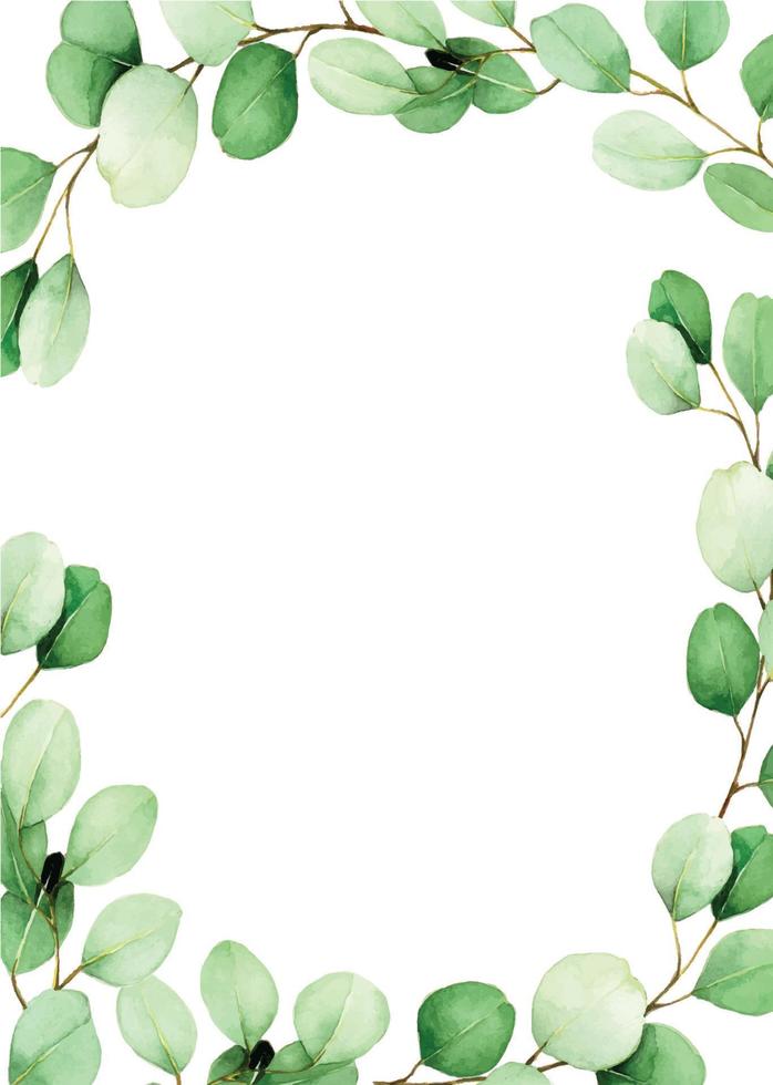 rectangular watercolor frame with eucalyptus leaves. botanical background for cards, invitations. wedding design vector