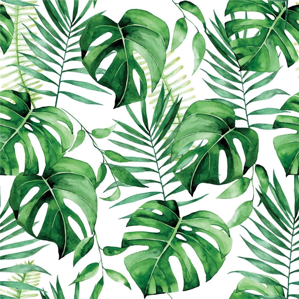 acuarela de patrones sin fisuras tropicales. imprimir con hojas de color verde tropical sobre un fondo blanco. hojas de palma, monstera, plantas de la selva vector