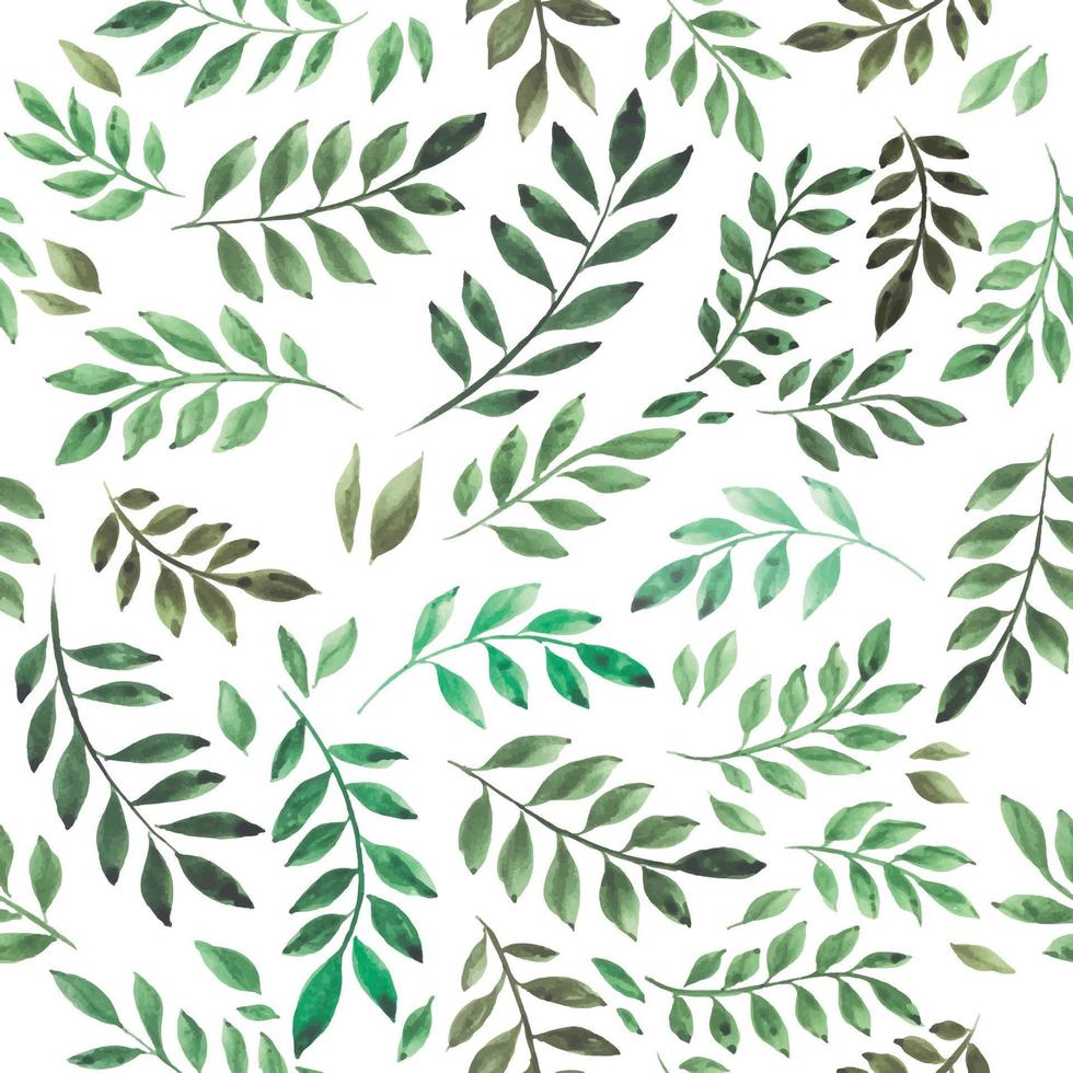 stock illustration. tropical green leaves seamless pattern isolated on white background. Vintage watercolor drawing. design for wallpaper, wrapper, textile, fabric, ceramics vector