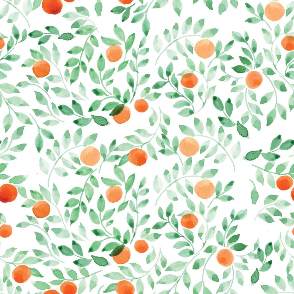 watercolor seamless pattern. abstract green leaves and fruits of orange, tangerine on a white background. vintage background in provence style, botanical ornament. design for fabric, wallpaper vector