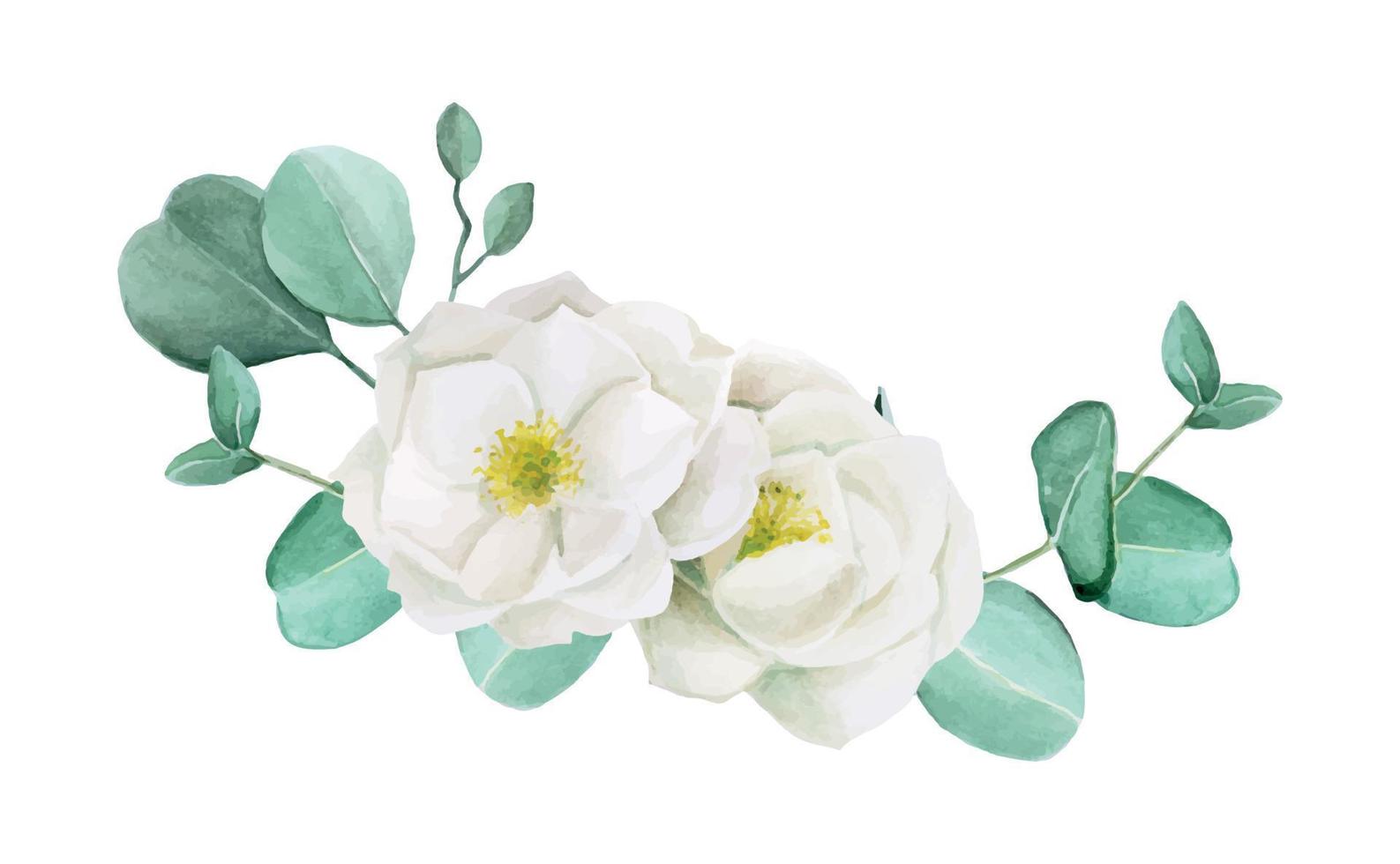 dibujo de acuarela. marco, viñeta hojas de eucalipto y flores. dibujo delicado de flores blancas de rosa mosqueta y hojas de eucalipto aisladas en fondo blanco. diseño para bodas, invitaciones, tarjetas vector