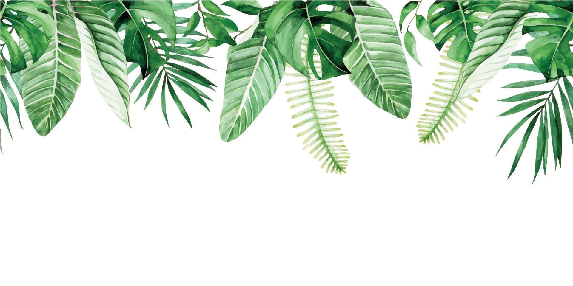 borde transparente acuarela, marco con hojas tropicales verdes. hojas de palma, monstera, hojas de plátano aisladas sobre fondo blanco. patrón, impresión, banner web vector