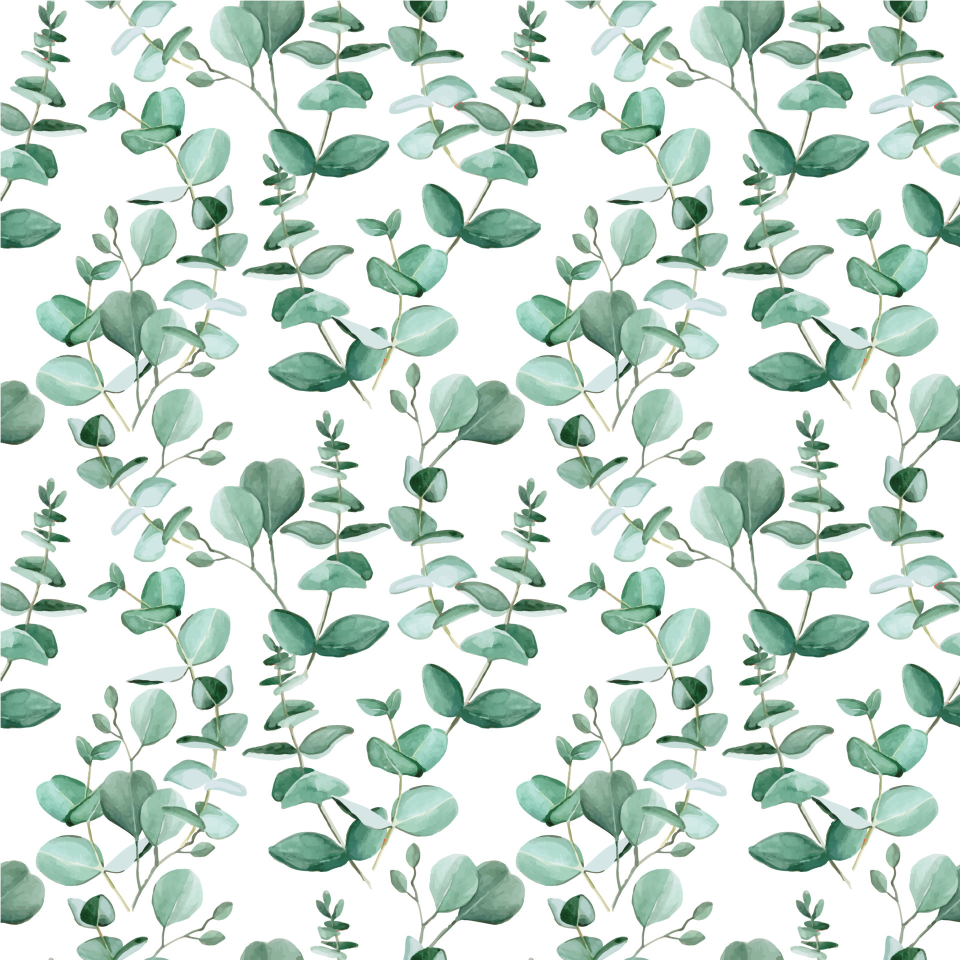 Top more than 57 eucalyptus wallpaper - in.cdgdbentre