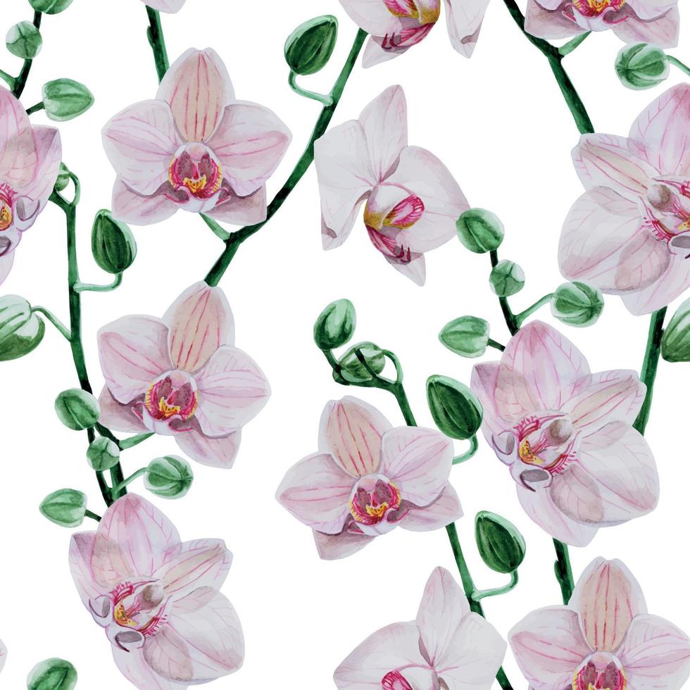 patrón transparente con flores de acuarela. flores de orquídea rosa sobre un fondo blanco. patrón delicado con flores tropicales, orquídeas realistas. diseño para boda, textil, papel pintado, tela vector
