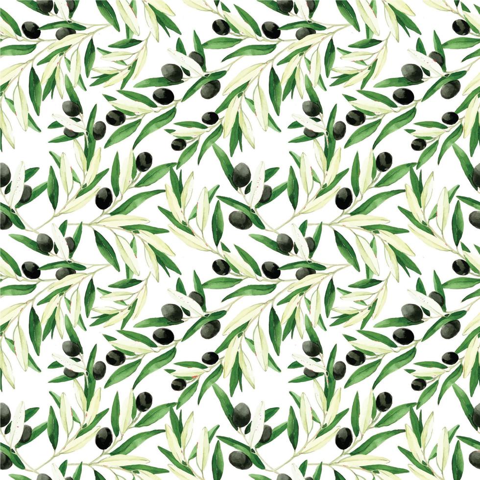 seamless watercolor pattern with olive leaves and fruits, realistic vintage drawing. black olives isolated en white background. print for fabric, wallpaper, paper. vector