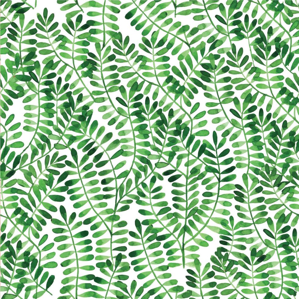 seamless watercolor pattern with abstract green leaves. print with tropical plants isolated on white background. simple, stylized plants vector