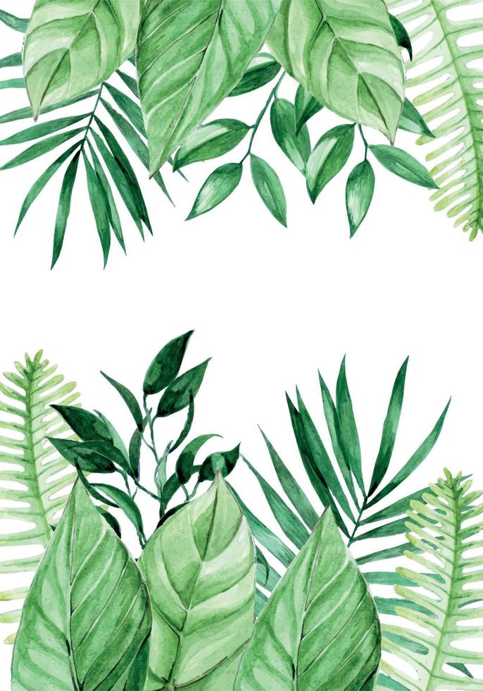 dibujo de acuarela, marco con hojas tropicales. hojas de palma fronterizas, plantas de la selva. fondo de verano brillante con lugar para texto aislado sobre fondo blanco vector