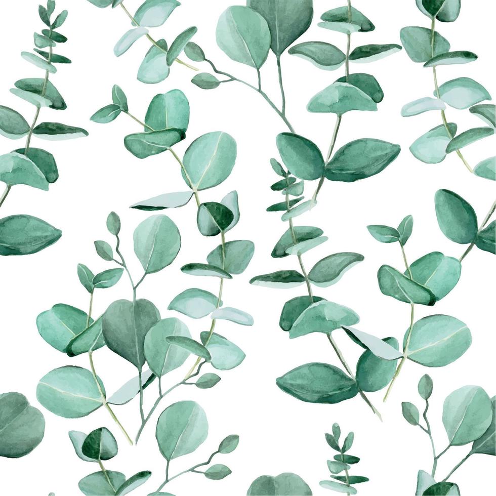 Seamless pattern with watercolor eucalyptus leaves on a white background. Vintage pattern with tropical leaves. Ready design for fabric, wallpaper, wrapper, textile. vector