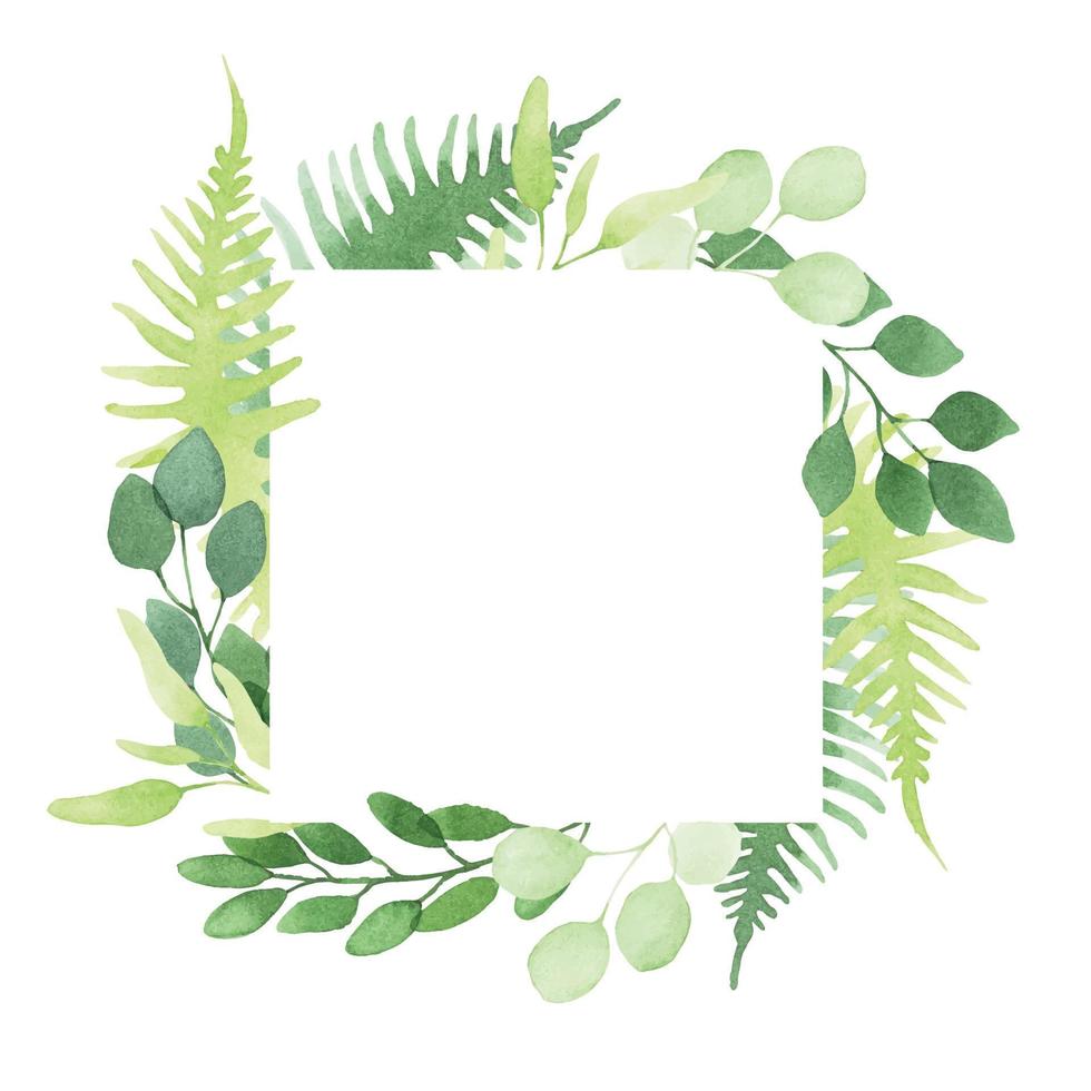 marco cuadrado de acuarela hecho de simples hojas abstractas de helecho y eucalipto. hierbas del bosque verde y hojas aisladas sobre fondo blanco. vector