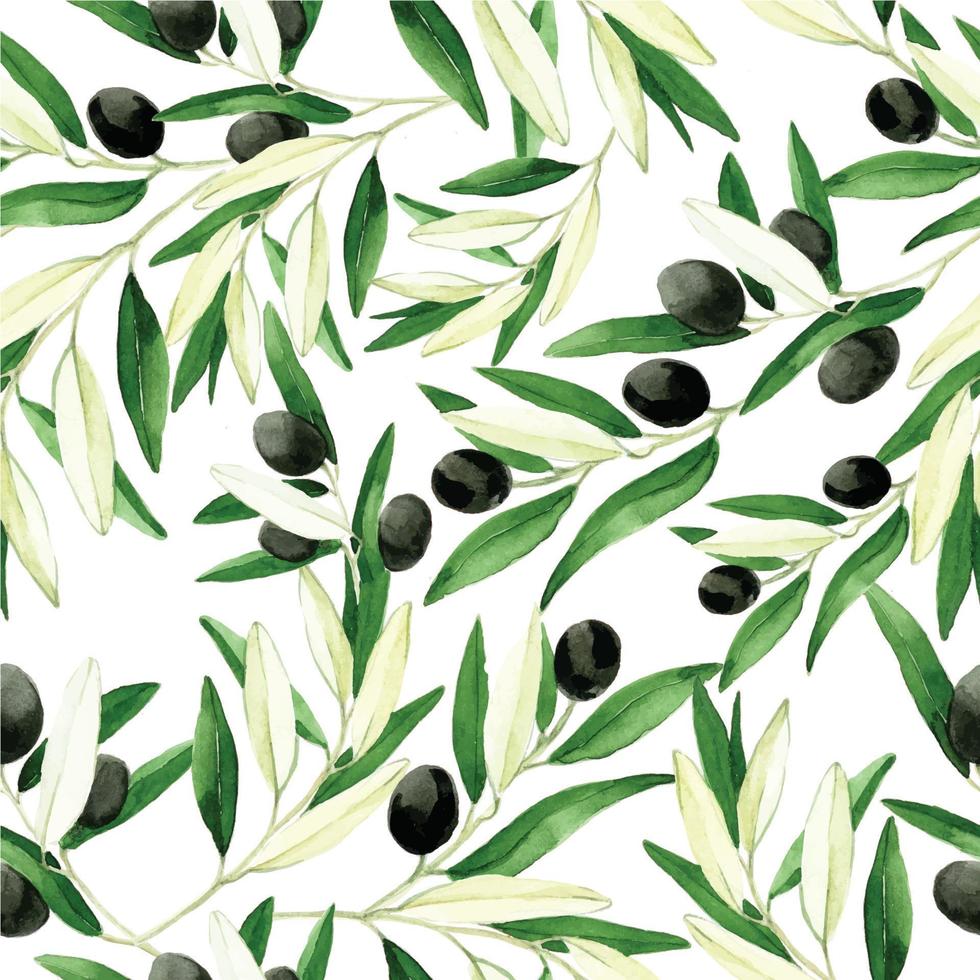 seamless watercolor pattern with olive leaves and fruits, realistic vintage drawing. black olives isolated en white background. print for fabric, wallpaper, paper. vector