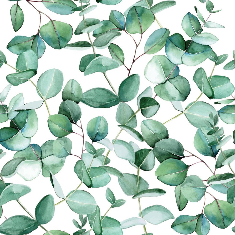 watercolor seamless pattern with eucalyptus leaves on a white background. vintage print, botanical illustration, hand drawing. vector