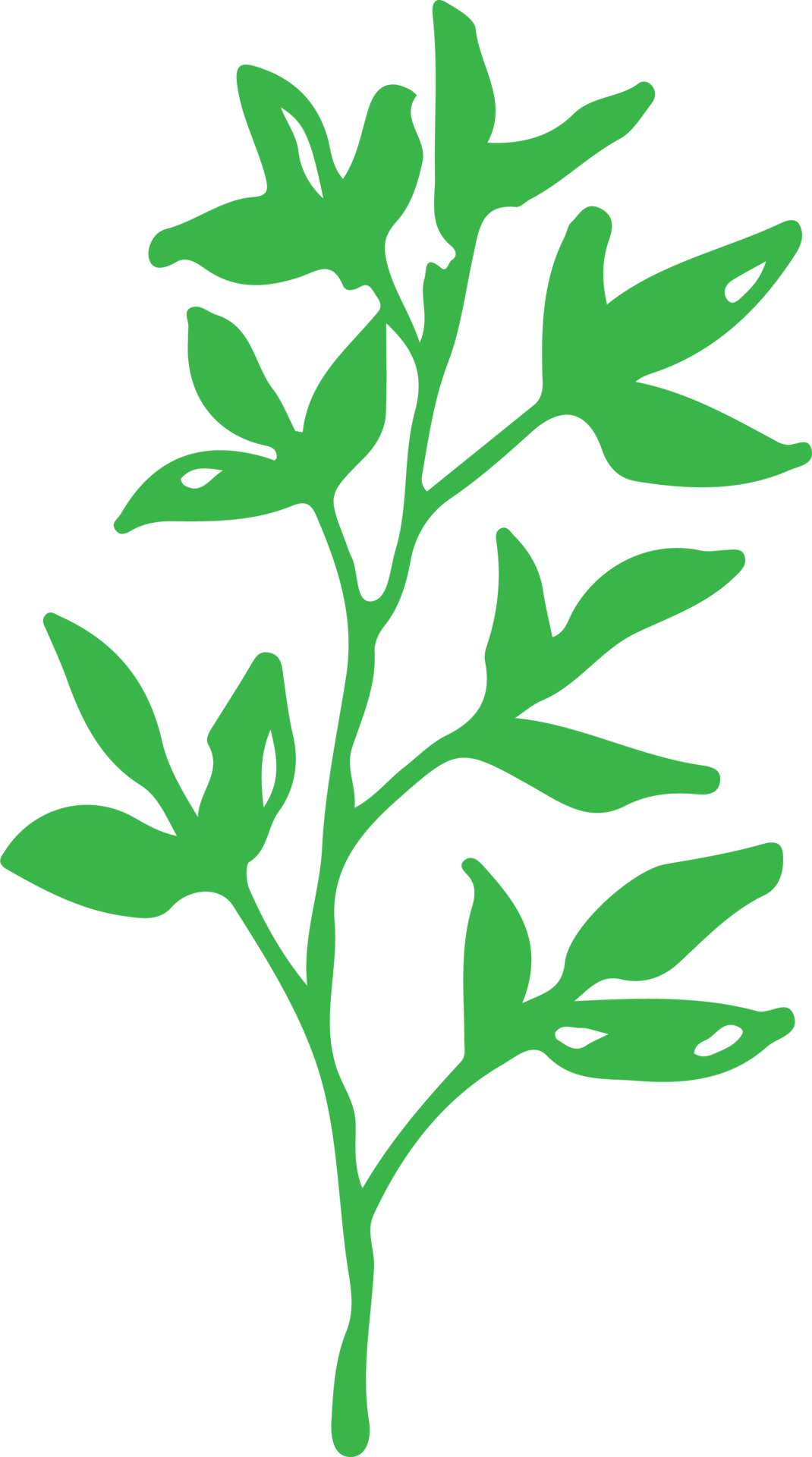 Hand Drawn Tree Icon With Leaf Sign Design 9667710 PNG hand-drawn-tree-icon-with-leaf-sign-design-9667710-png