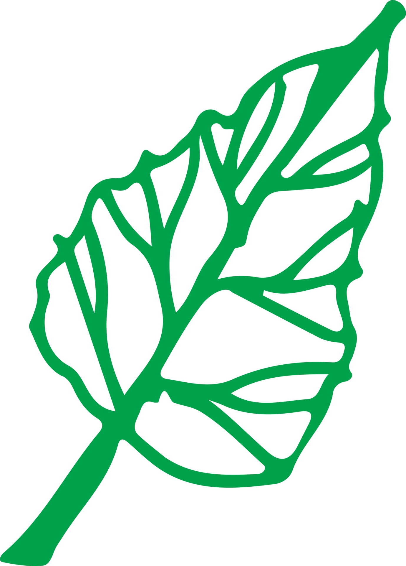Hand Drawn Tree Icon With Leaf Sign Design 9667725 PNG hand-drawn-tree-icon-with-leaf-sign-design-9667701-png