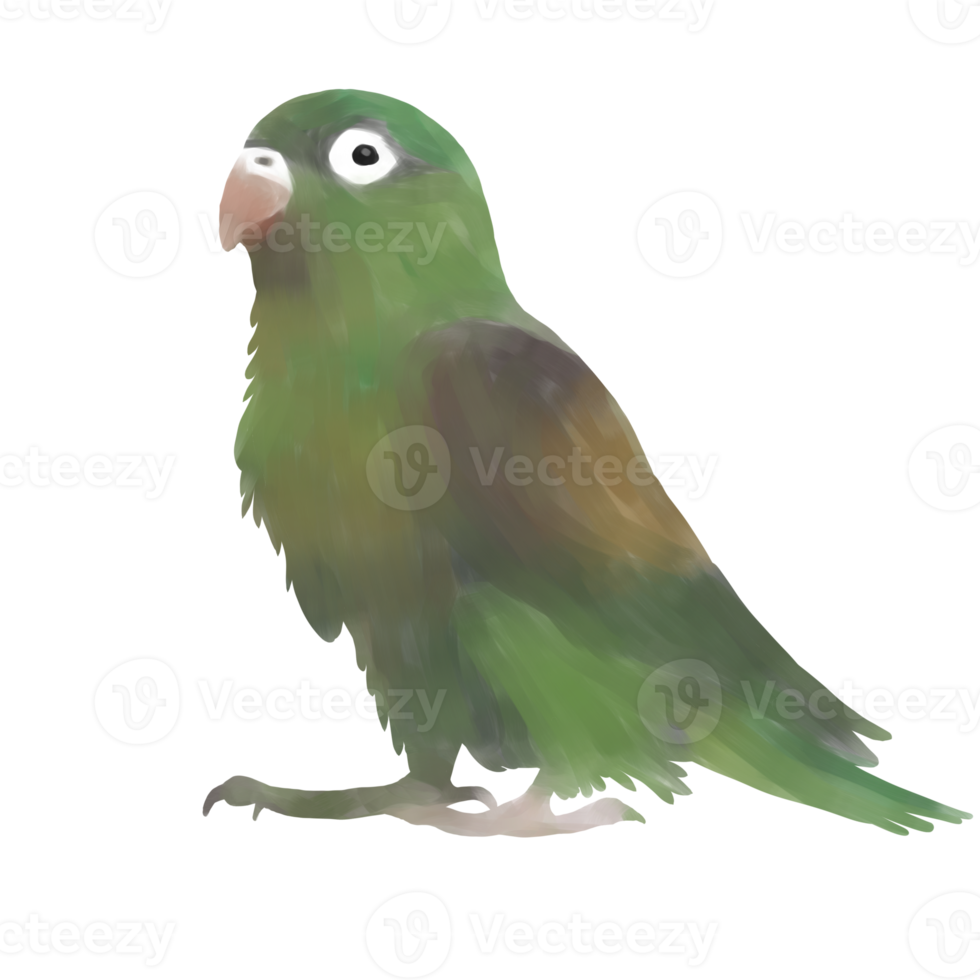 Tropical parrot hand drawn png