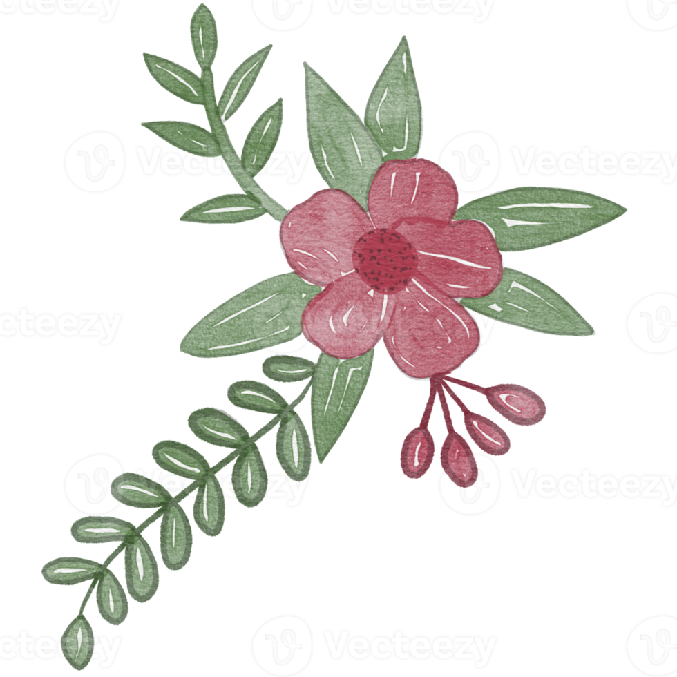 aquarelle de fleurs décoratives png