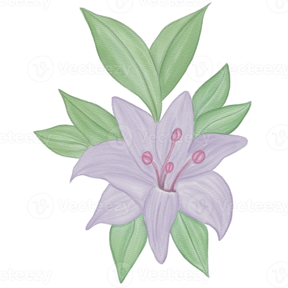 Watercolor flower Element png