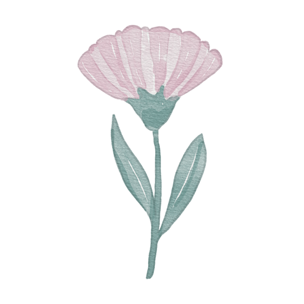 flower Watercolor Element png