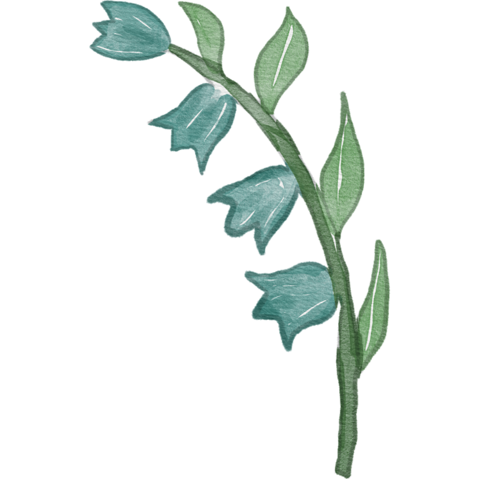 flor acuarela elemento png