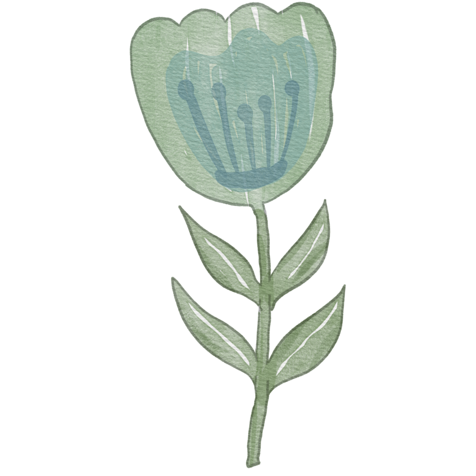 flower Watercolor Element png