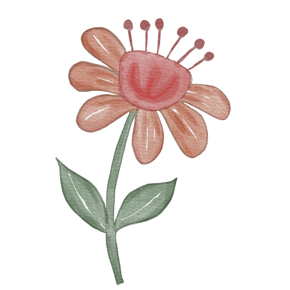 flower Watercolor Element png
