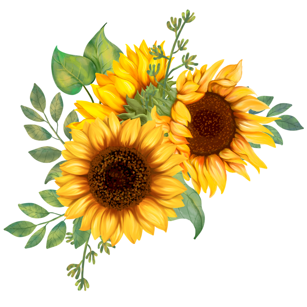 Sunflower bouquet art painting png