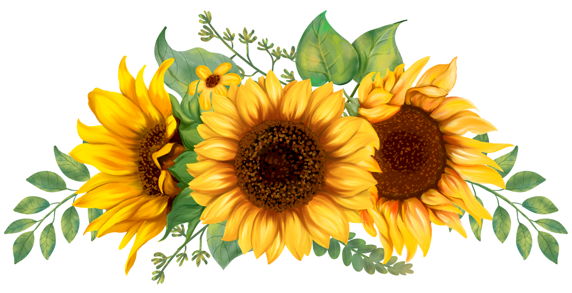 Sunflower PNGs for Free Download